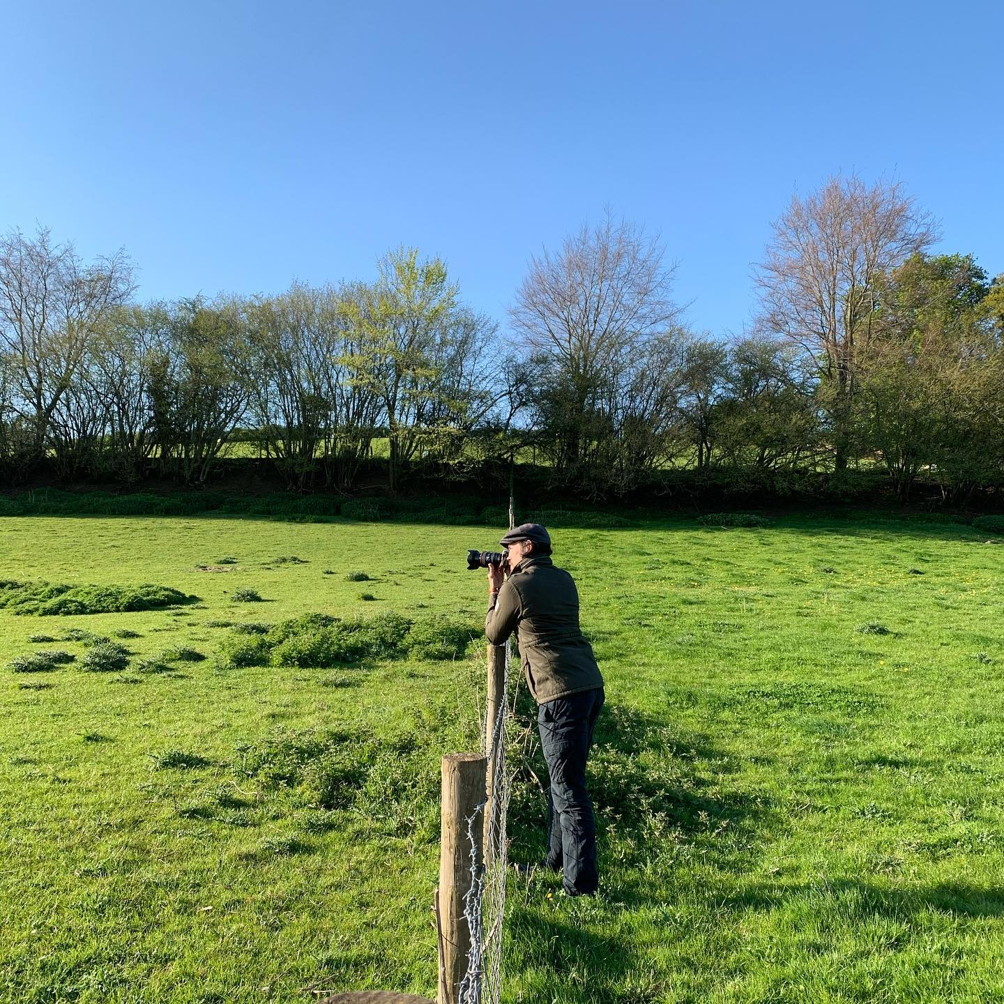 Tweed in action doing a bit of photography on our walk yesterday ️? ...#dailywalk #photography #livinginthecountry #home #wiltshire