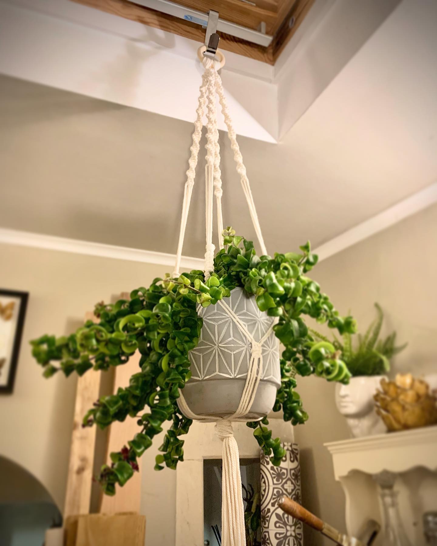A first attempt at Macrame! Quite satisfying to try a new craft during some down time between Christmas and New Year. And looking forward to filling our home with knotted makes! ? need to buy more plants! ...#craft #newthings #newyear #2021 #macrame #homedecor #handmade