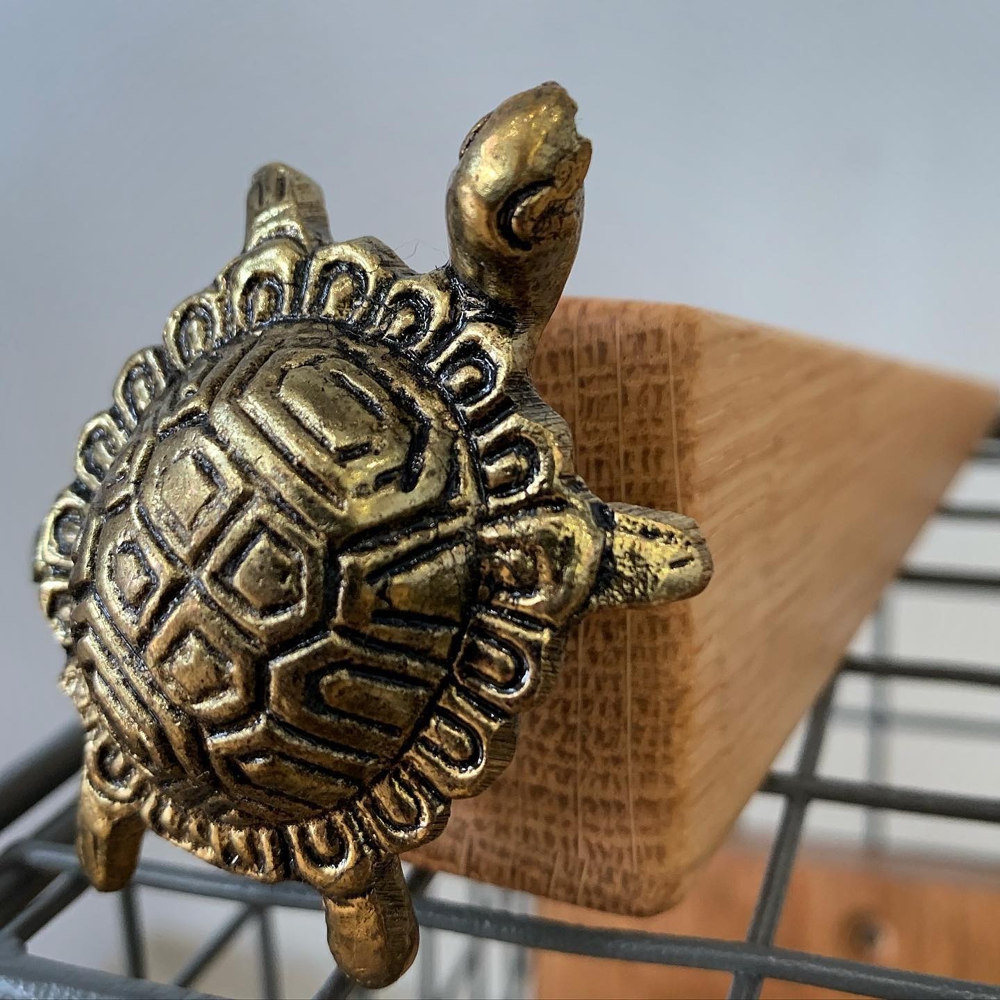 Love these little chaps! Turtle or tortoise? 🤔 We have a few of these today at @clevedonsundaymarket #new #doorwedge #homedecor #oak #handcrafted #gingerandtweed