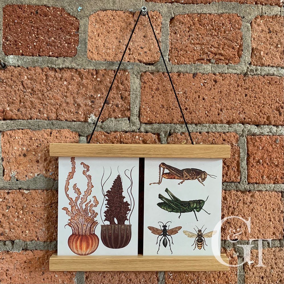 Wow! Thank you @thecraftandflea for a lovely day! Paintworks is always such a fab venue! Just look at that red brick backdrop 🫶Magnetic picture hangers were especially popular today. Available now in three sizes from £12.50 on our website GingerandTweed.comLink in Bio
